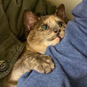 Meet your Posher, Brianne